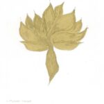 Solukdaş Sergisi BüroSarıgedik’te