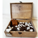 Toprağın Hafızası